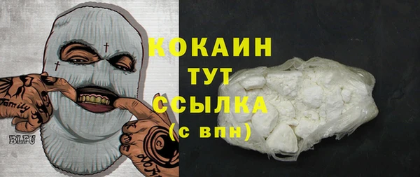 тгк Алексин