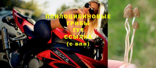 тгк Алексин