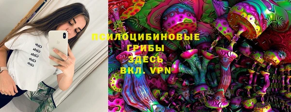 сатива Алексеевка